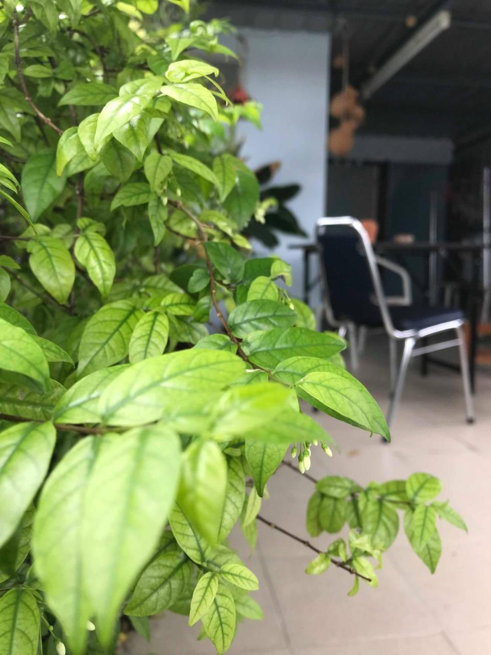 Jeesnail Guesthouse Bangkok Exteriör bild