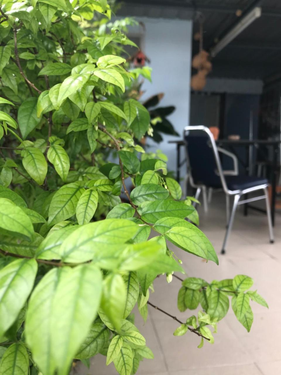 Jeesnail Guesthouse Bangkok Exteriör bild